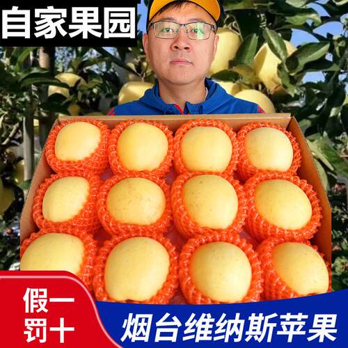 山东烟台维纳斯黄金苹果