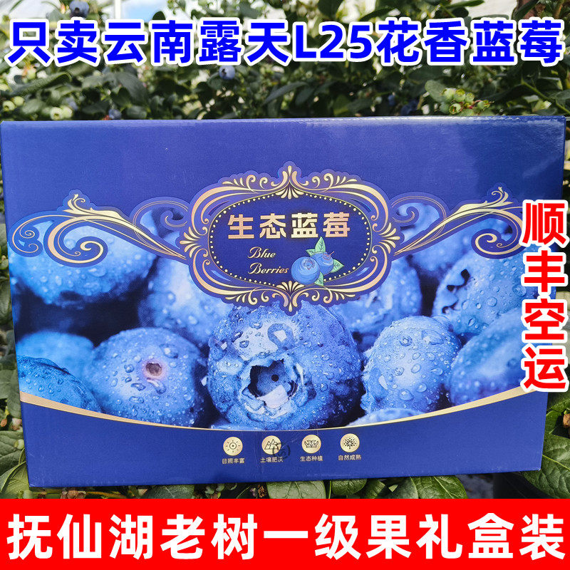 【顺丰空运】云南澄江抚仙湖高山露天L25花香蓝莓礼盒装新鲜水果,包装,水果包装,淘宝优惠券,粉丝福利购,淘宝优惠卷