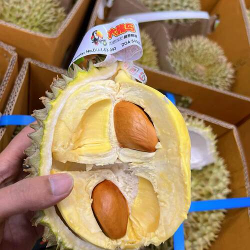 【大嘴鸟太阳之子秘境巴