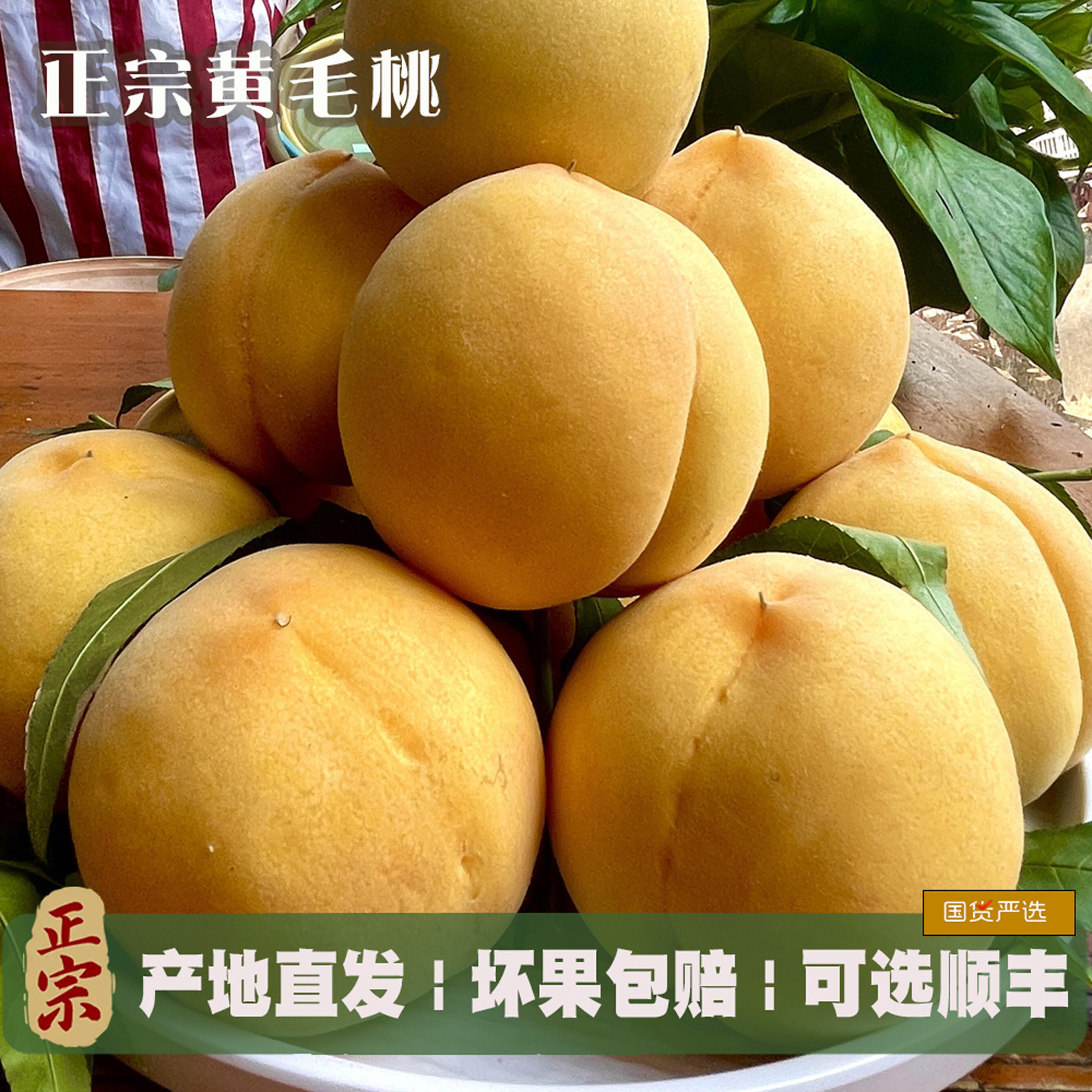 正宗蒙阴黄桃毛桃现货油