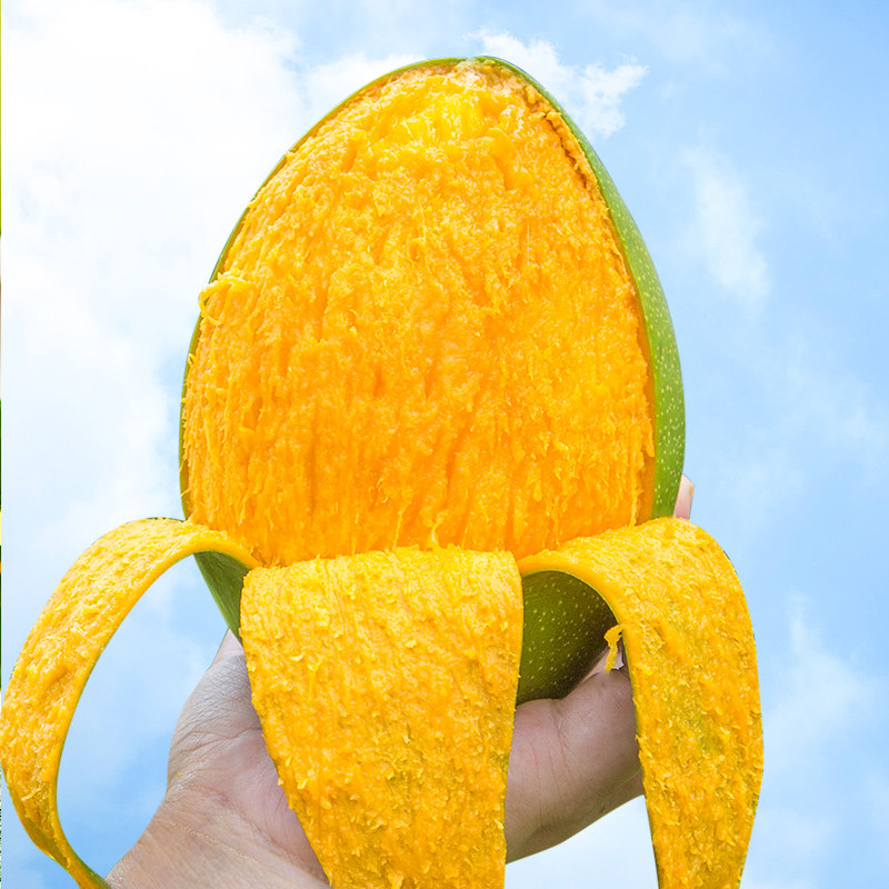 四川攀枝花凯特大芒果鲜