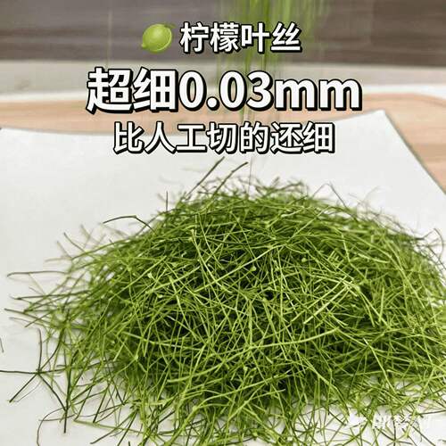 新鲜广东香水柠檬叶现摘