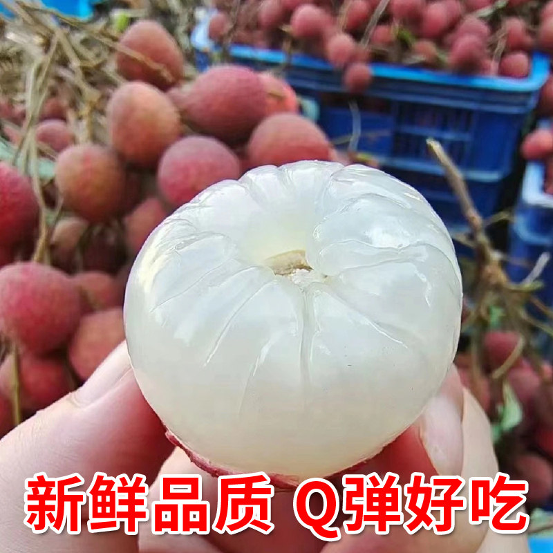 新鲜荔枝白糖甜罂应当季