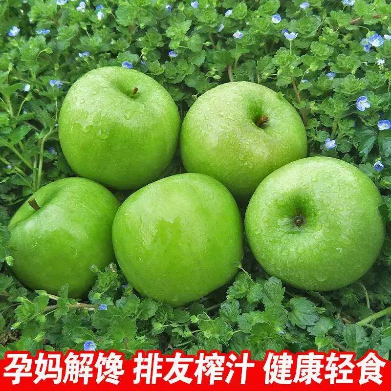 青苹果新鲜酸脆孕妇水低