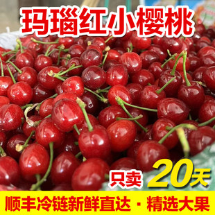 顺丰空运四川攀枝花米易黄草玛瑙红纯甜小樱桃孕妇水果3斤