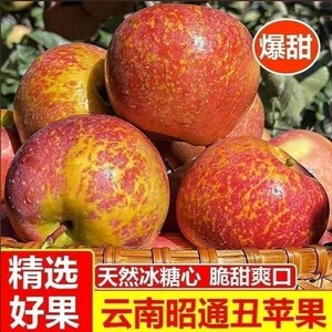 正宗云南昭通冰糖心丑苹