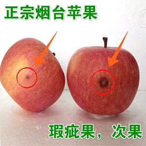 山东烟台苹果瑕疵果捡漏