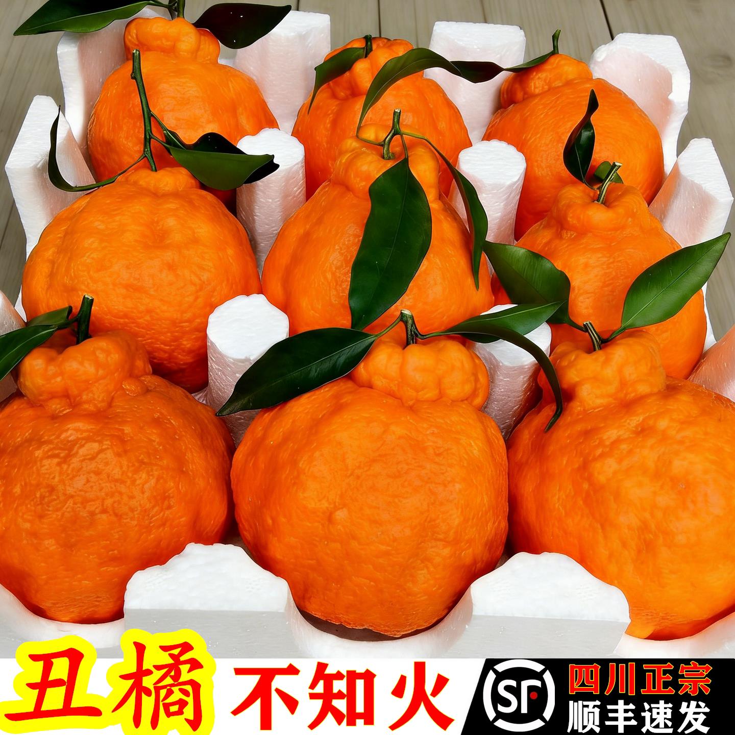 四川丑橘不知火10斤丑八