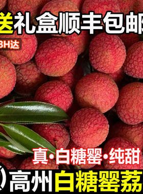 广东高州白糖罂荔枝新鲜
