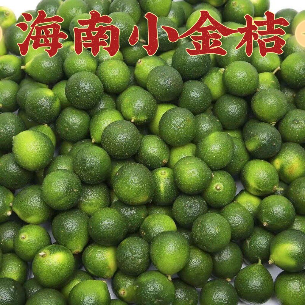 新鲜海南小青金桔5斤包邮