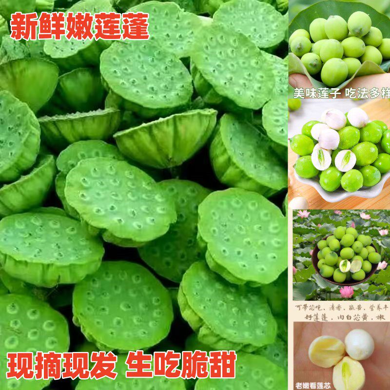 水果莲蓬现摘新鲜莲子应