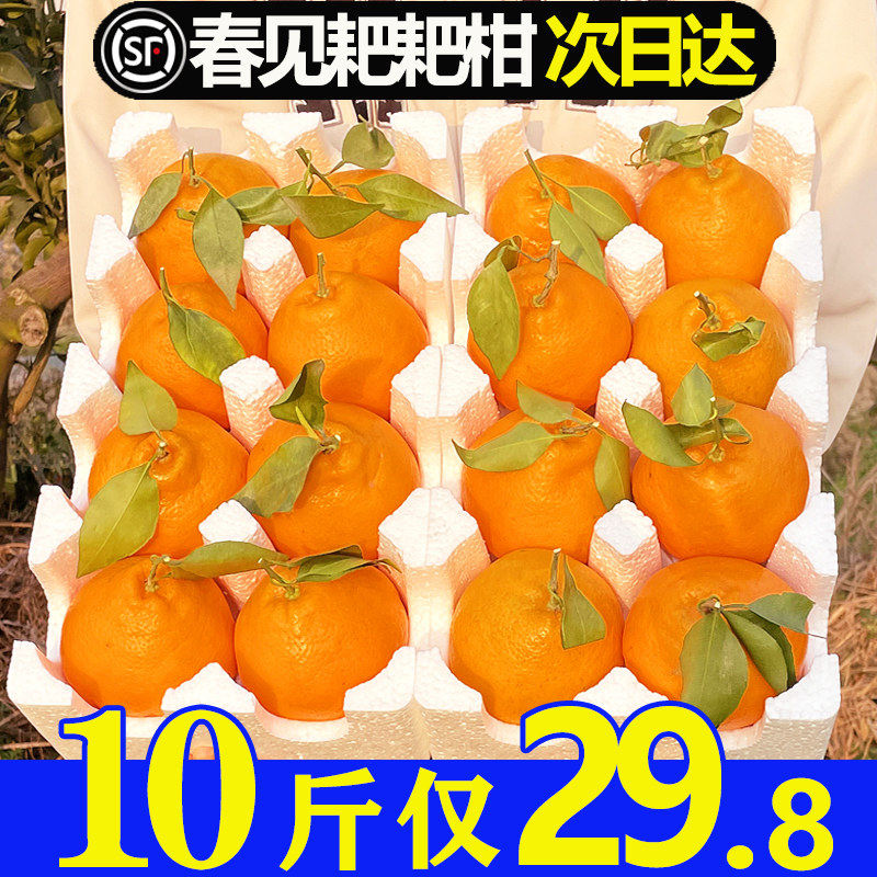 10斤正宗眉山春见耙耙柑