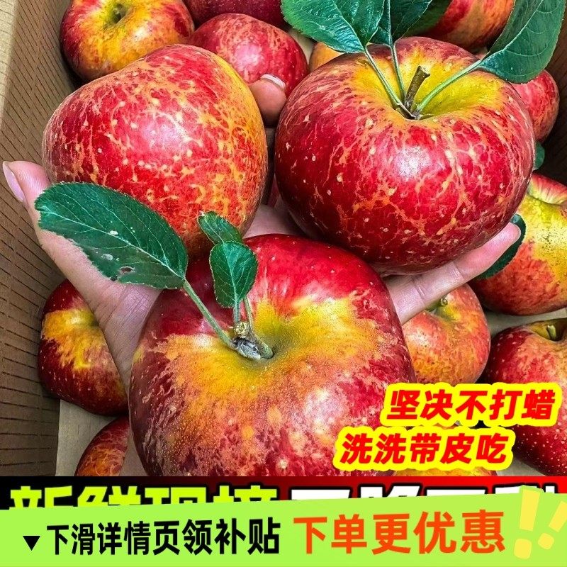 2025年正宗云南高原昭通冰糖心丑苹果脆甜新鲜水果当季整箱包邮,包装,水果包装,淘宝优惠券,粉丝福利购,淘宝优惠卷