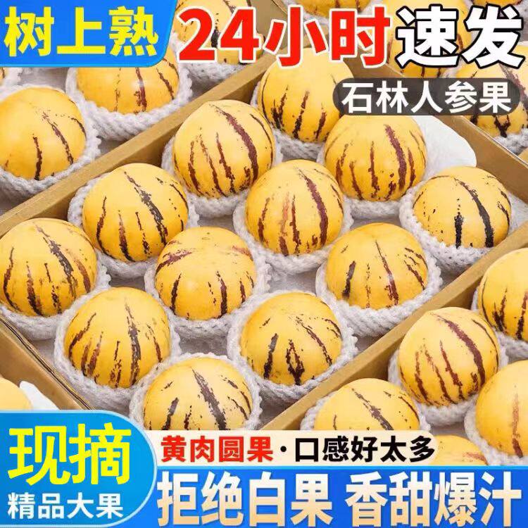 云南石林人参果新鲜现摘5