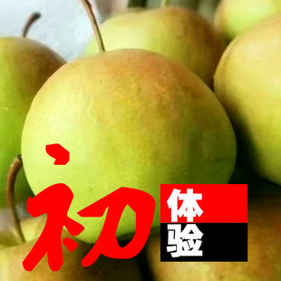 【自吃不要礼盒】正宗陕西黄陵翡翠梨子新鲜水果香酥梨箱装一特级