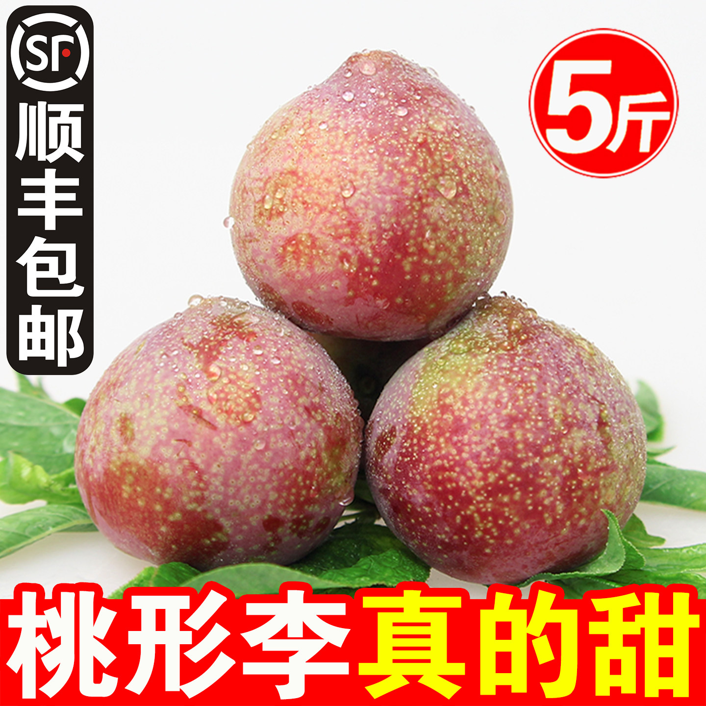 正宗浙江嵊州桃形李子新