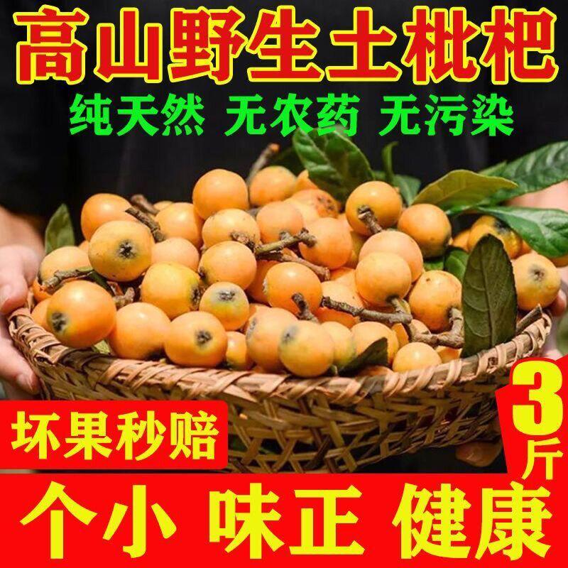 深山老树枇杷土新鲜野生