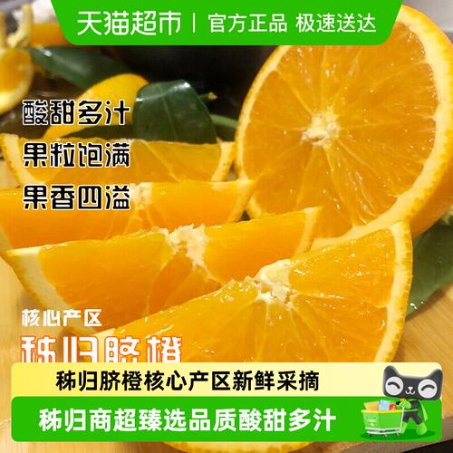 湖北秭归纽荷尔脐橙应季