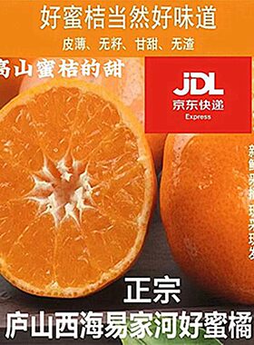 正宗易家河桔子江西庐山