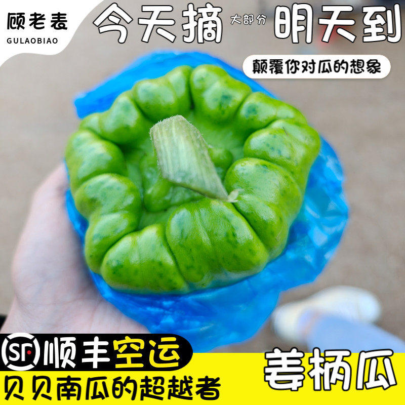 顺丰空运姜柄瓜姜饼瓜嫩