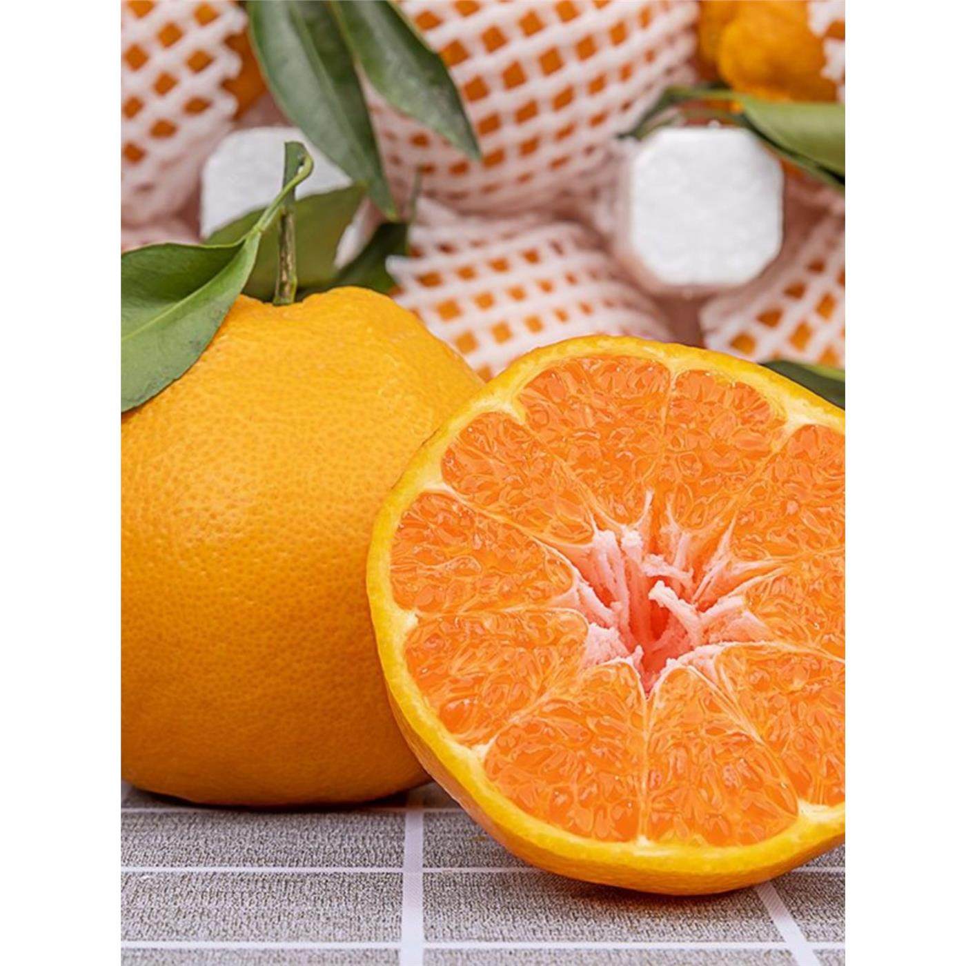 正宗四川春见耙耙柑巴巴粑粑柑杷杷柑特级橘子新鲜水果10斤,包装,水果包装,淘宝优惠券,粉丝福利购,淘宝优惠卷