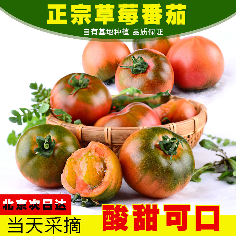 农家草莓番茄铁皮柿子绿腚西红柿新鲜可以当水果生吃产地直发北京
