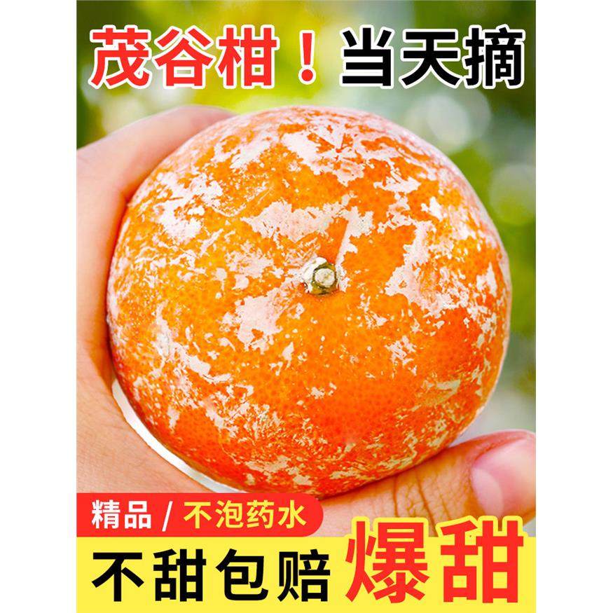 广西武鸣茂谷柑脏脏柑10斤新鲜水果应当季整箱沃橘子石灰柑桔子,包装,水果包装,淘宝优惠券,粉丝福利购,淘宝优惠卷