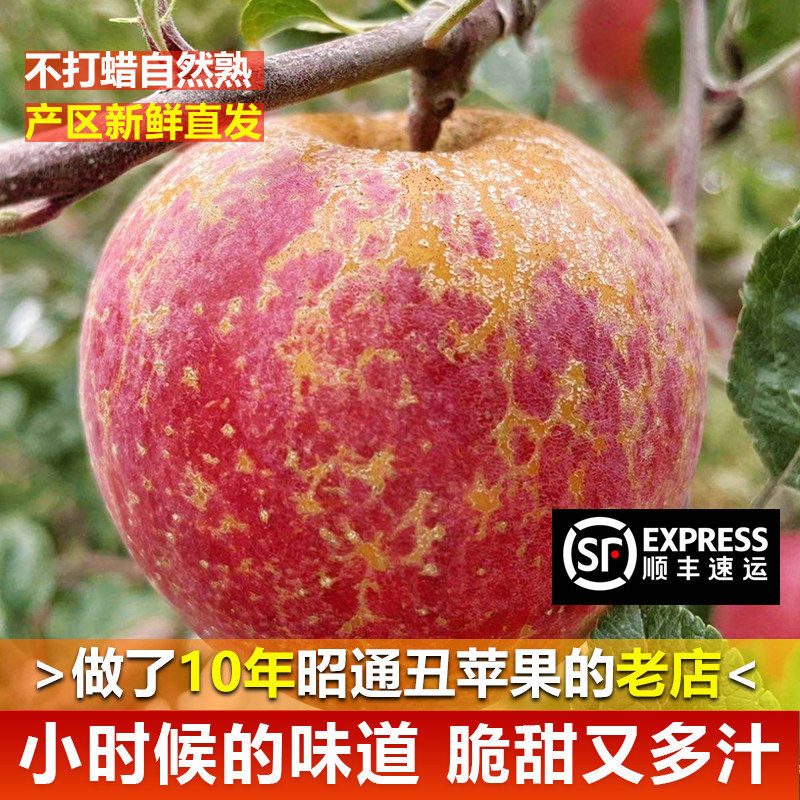 云南昭通丑苹果红露脆甜冰糖心生态农家自种孕妇当应季新鲜水果,包装,水果包装,淘宝优惠券,粉丝福利购,淘宝优惠卷