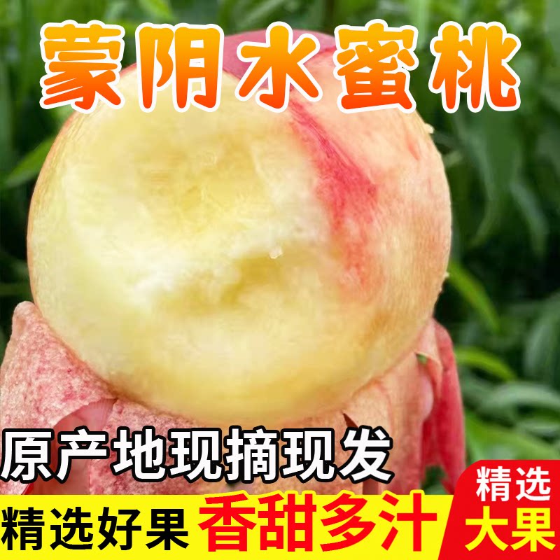 山东蒙阴现摘水蜜桃新鲜