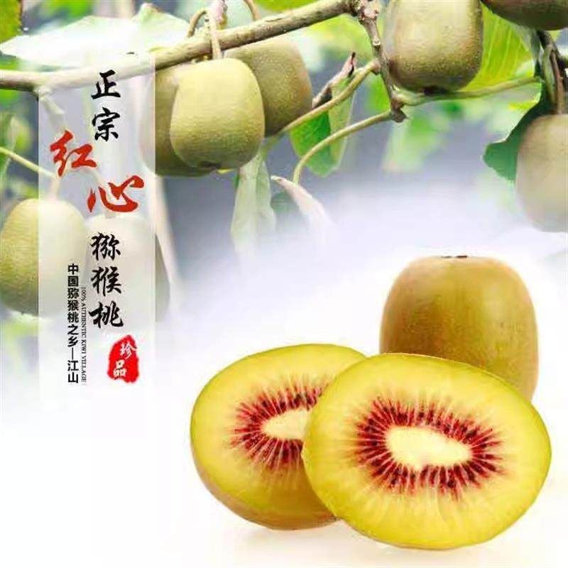 江山红心奇异果5斤新鲜水果当季整箱红心大果弥狝奇异果孕妇礼盒