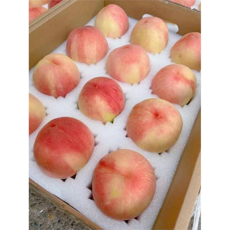 四川龙泉驿水蜜桃成都特