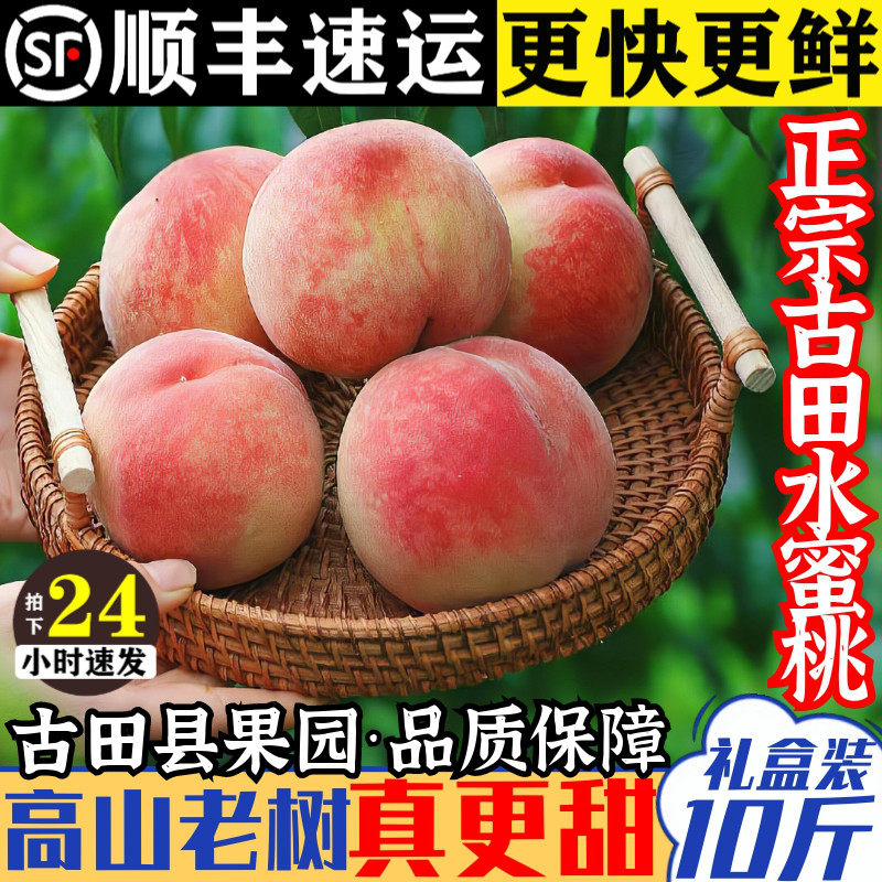 正宗古田水蜜桃白凤桃福