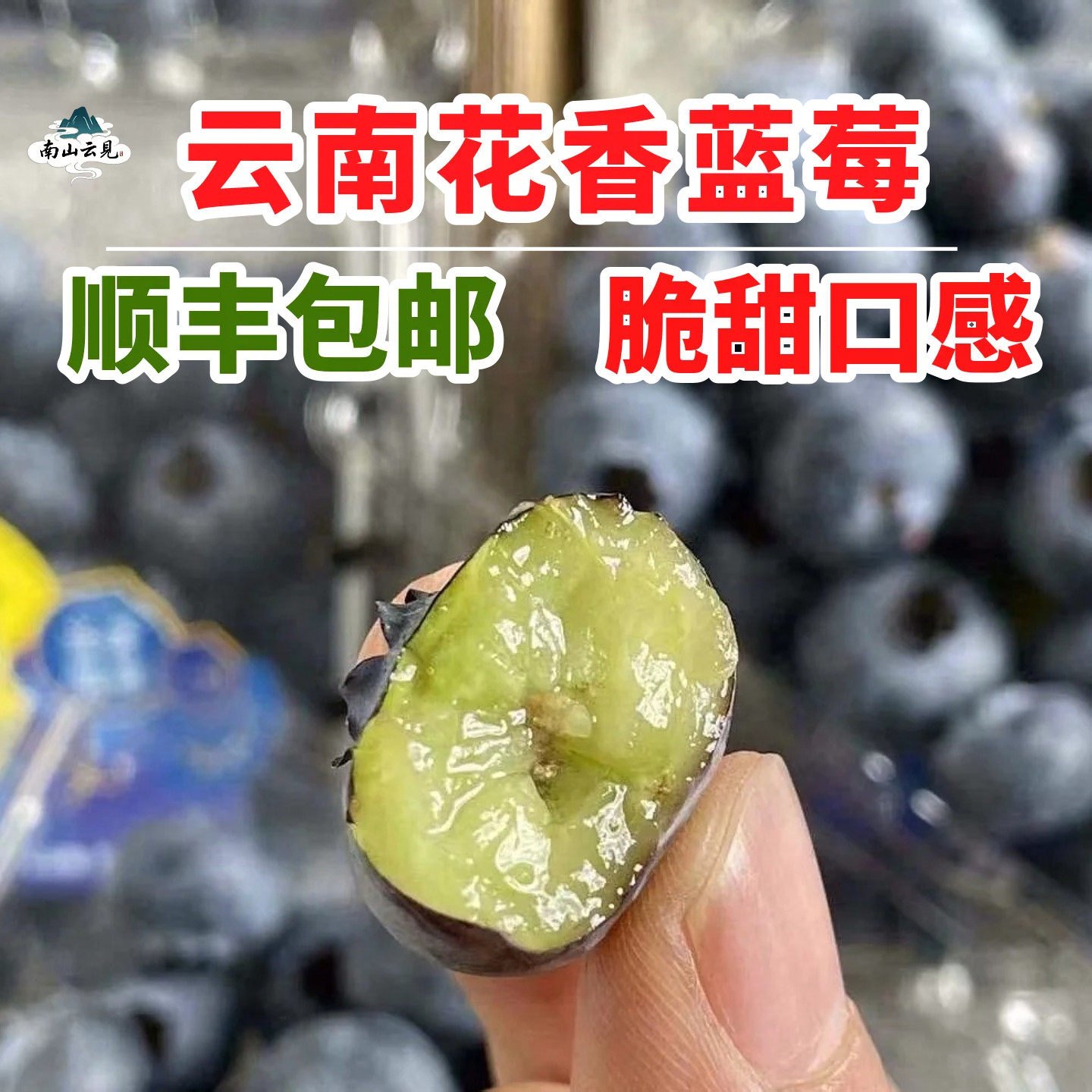 现摘正宗云南花香蓝莓高山抚仙湖l25甜脆蓝莓新鲜水果特大果礼盒,包装,水果包装,淘宝优惠券,粉丝福利购,淘宝优惠卷