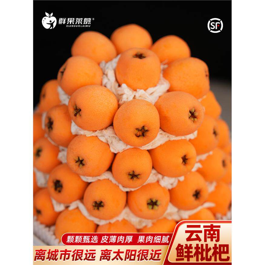 【顺丰包邮】云南大五星