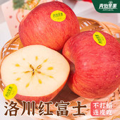 青怡陕西洛川苹果25年当季 新果优品红富士时令新鲜水果整箱送礼盒