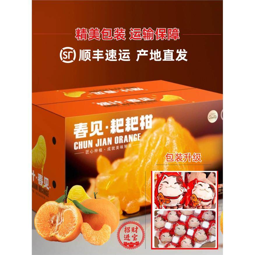 四川春见耙耙柑10斤新鲜水果粑粑柑正宗当季丑桔子现摘杷杷柑顺丰,包装,水果包装,淘宝优惠券,粉丝福利购,淘宝优惠卷