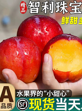 顺丰包邮智利珠宝李太阳