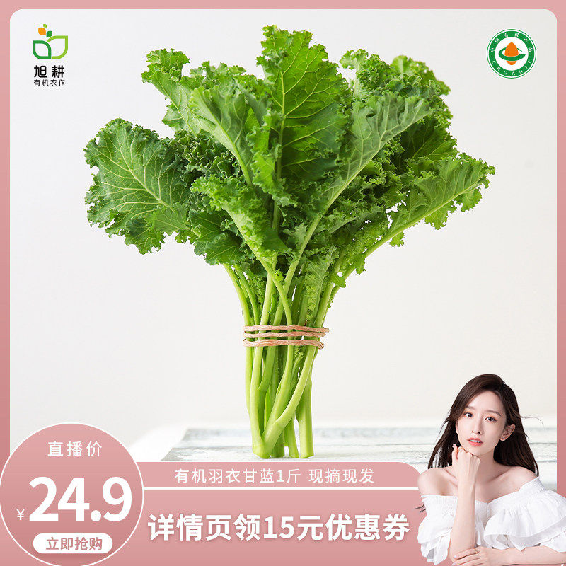 旭耕有机羽衣甘蓝新鲜现