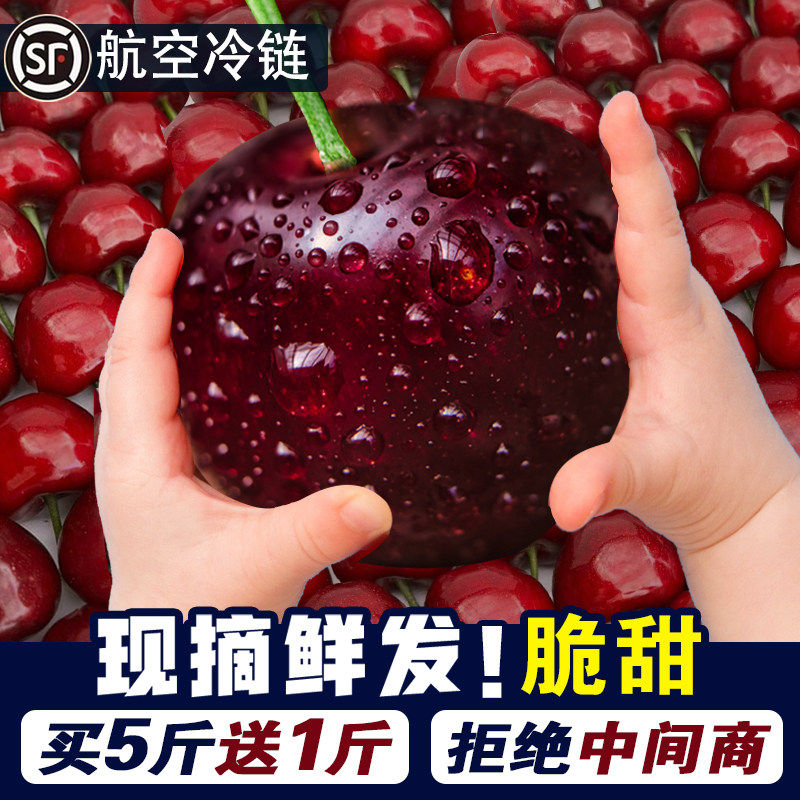 山东美早大樱桃国产车厘