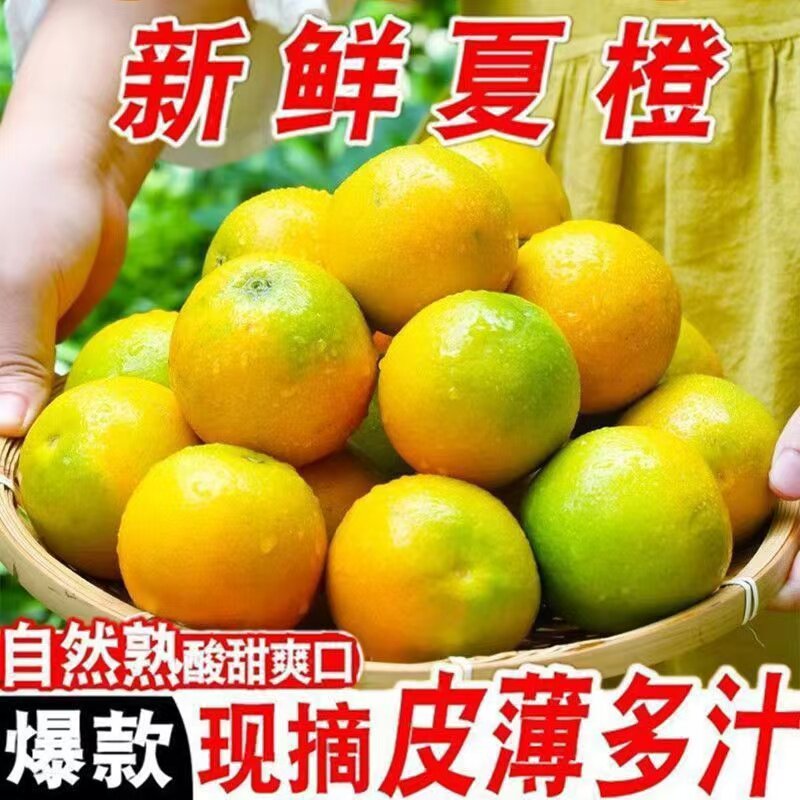 广西桂林新鲜夏橙小花皮