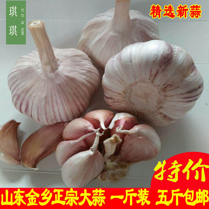 25年1斤3斤山东金乡干大蒜头新鲜蔬菜紫皮新干蒜农家自种低价包邮
