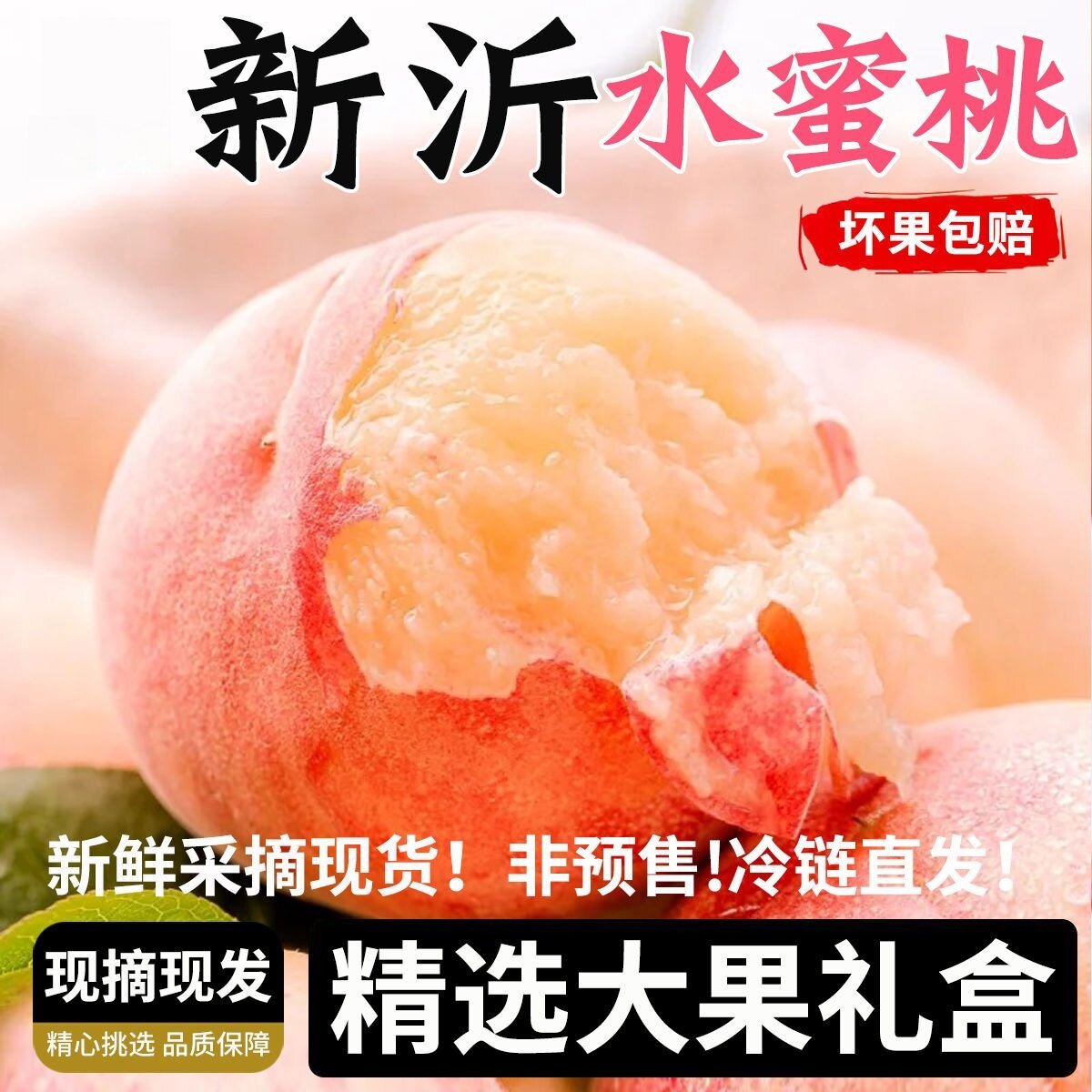 【江苏白凤水蜜桃】新沂