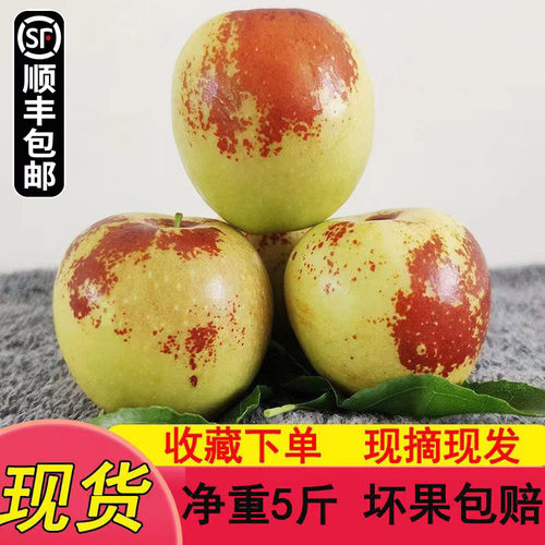 正宗陕西大荔冬枣新鲜水