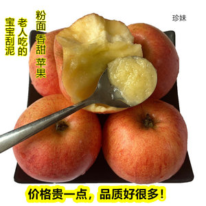 珍妹粉面苹果香甜宝宝