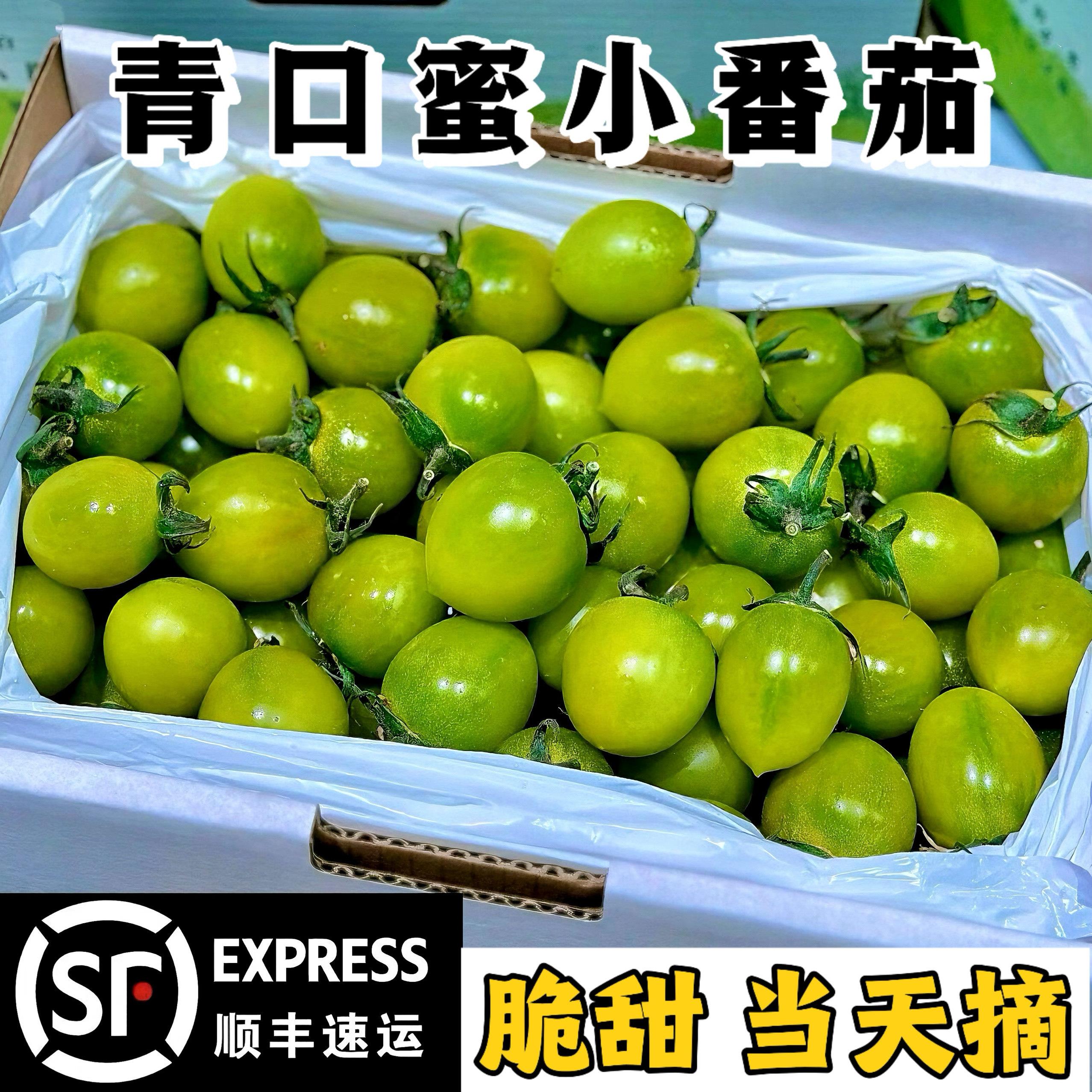顺丰正宗青口蜜小番茄酸
