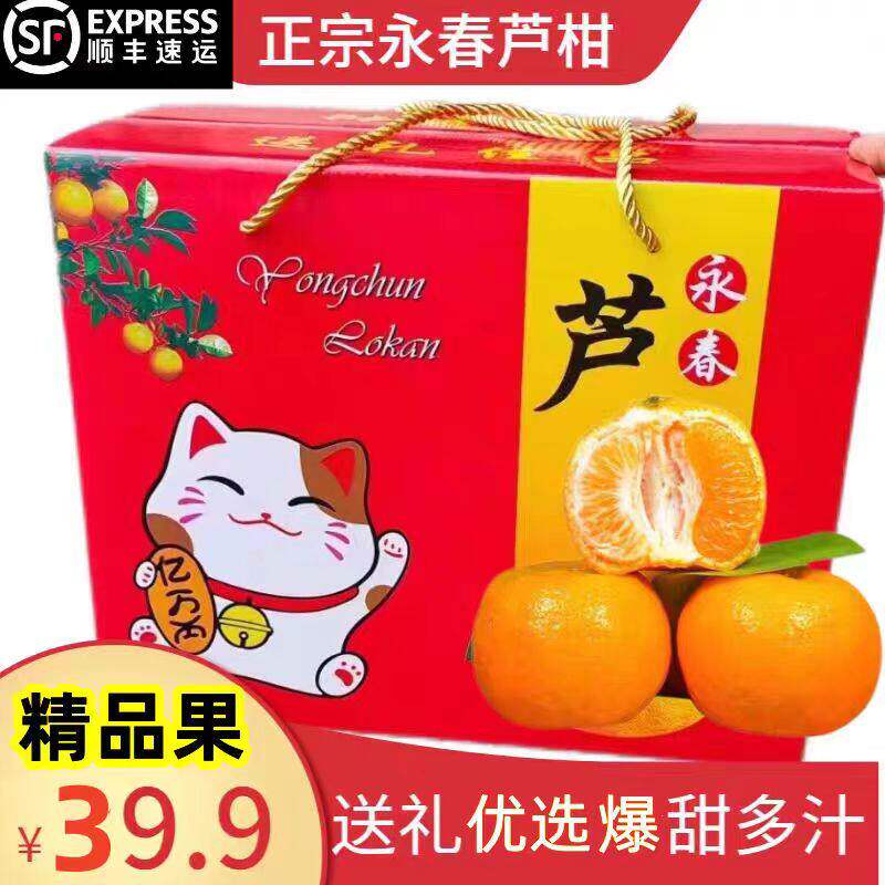 永春芦柑新鲜现摘特大正宗福建泉州柑橘丑桔子椪柑孕妇水果顺丰5