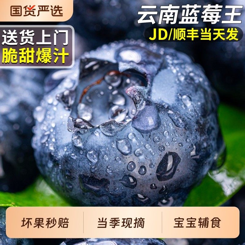 高山云南蓝莓新鲜水果鲜果高端当季现摘花香怡颗蓝梅整箱包邮大果,包装,水果包装,淘宝优惠券,粉丝福利购,淘宝优惠卷