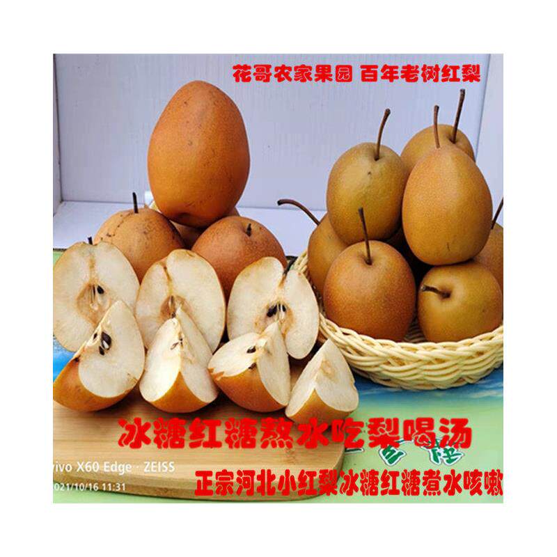 红梨河北正宗小红梨当季新鲜水果沙梨包邮5斤冰糖煮水咳嗽铁皮梨