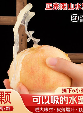 正宗无锡阳山水蜜桃新鲜水果整箱礼盒装当季现摘白凤大桃子兑换卡