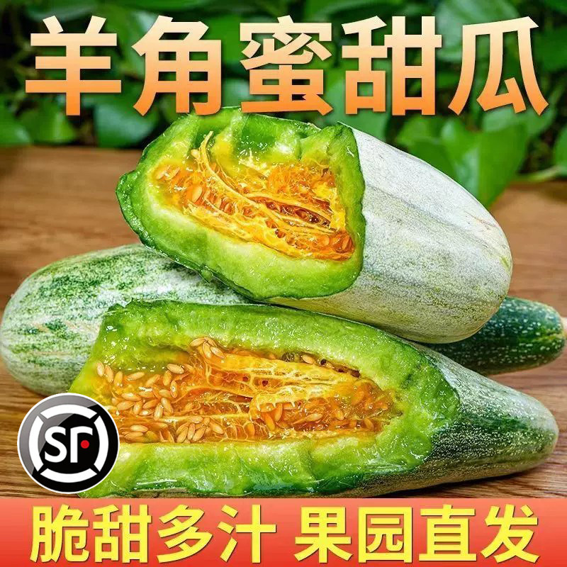 山东羊角蜜甜瓜新鲜水果5